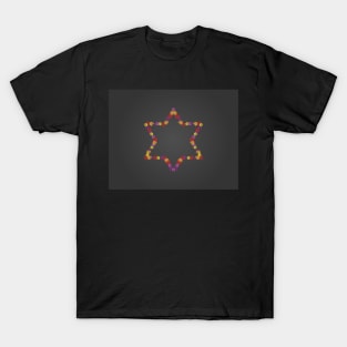 Floral Star Of David On Black Background T-Shirt